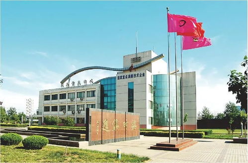 技術賦能，破局前行 山東糧食產業破解同質化困局的轉型實踐